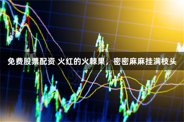 免费股票配资 火红的火棘果，密密麻麻挂满枝头