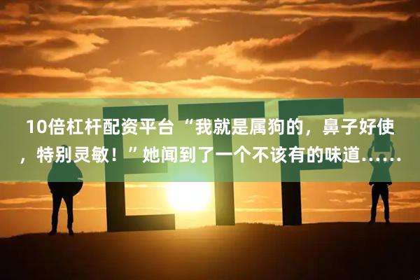 10倍杠杆配资平台 “我就是属狗的，鼻子好使，特别灵敏！”她闻到了一个不该有的味道……